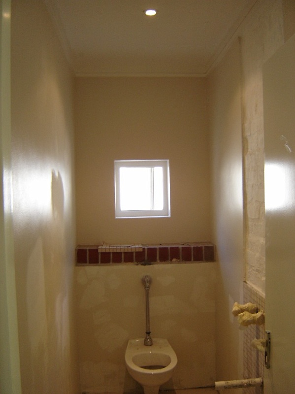 toilet painting.jpg